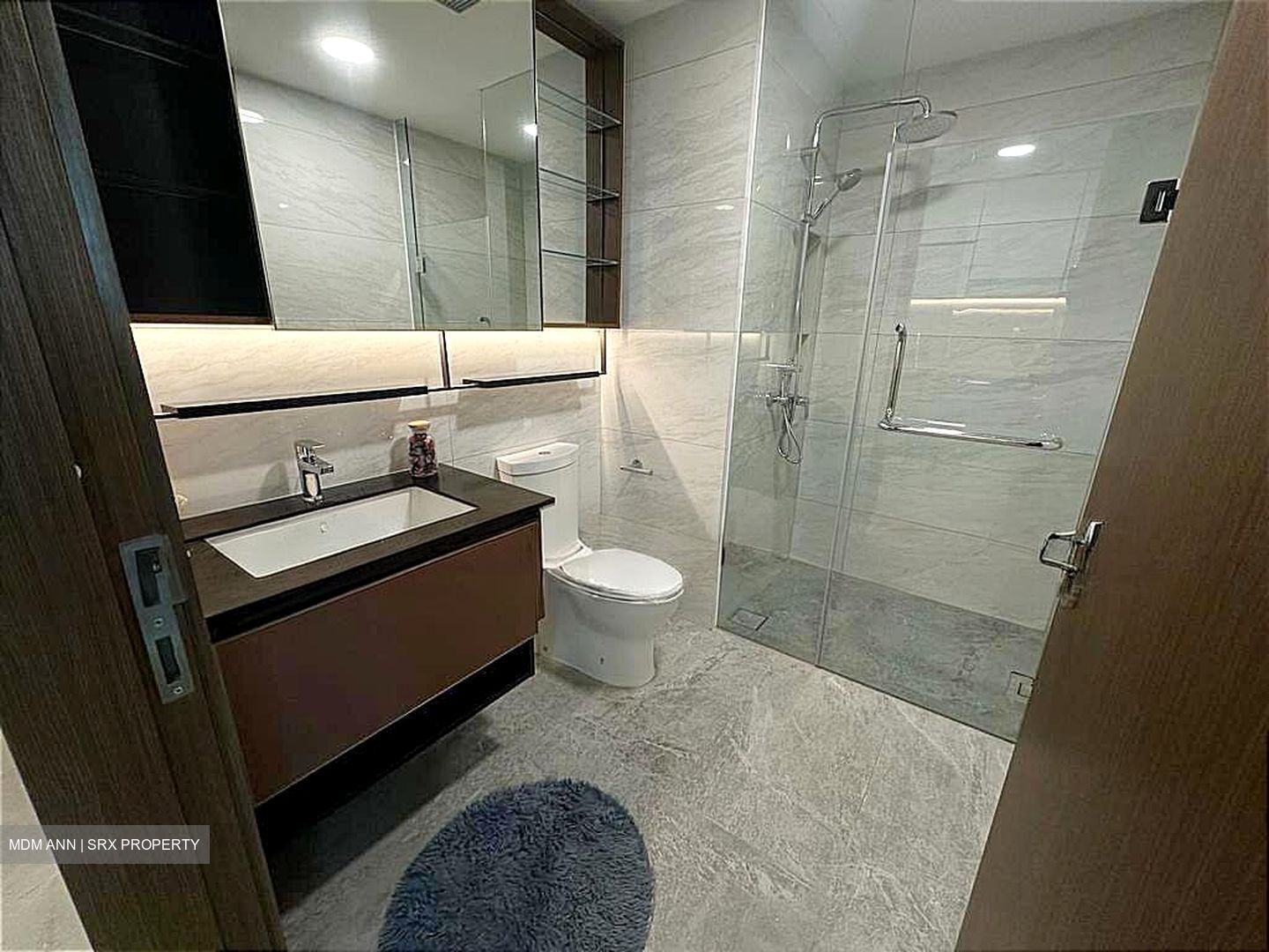 Normanton Park (D5), Apartment #521562021